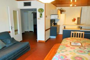 Appartement 8 pers, près des pistes, animaux admis - FR-1-516-5 Apartments, Les Deux-Alpes