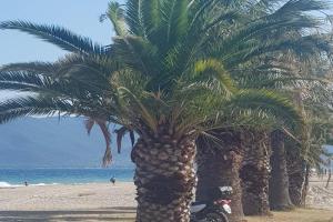 Apartment with two rooms near the beach, Asprovalta