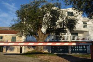 Apartments TMV Dragovic, Przno