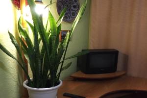 Byudzhetnye Komnaty posutochno 5min McDonalds WI-FI 15min do tsentra goroda Apartments, Ternopil