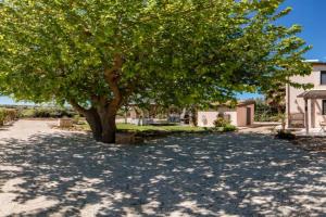 Country House il Gelso e l'Ulivo appartamento in villa l'Ulivo, Reitani