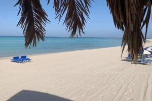 Bilocale vista spiaggia 10 metri dal mare Apartments, Torre Mozza