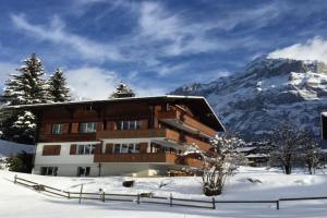 Brand New, 5min to Ski PARADISE ! Apartments, Grindelwald
