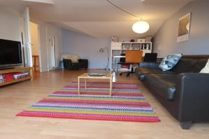 #J1 Escale Grenobloise Splendid building Pedestrian center Apartments, Grenoble