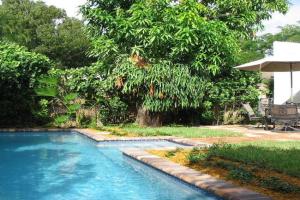 Historic Cottage With Private Pool! Home, West Palm Beach