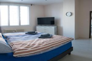 Apartment Třída Míru, Pardubice