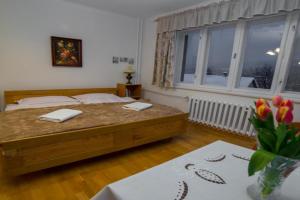 Agroturystyka Na Dzielnicach Apartments, Wisla
