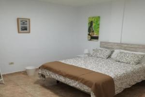 THREE BEDROOM APARTAMENT II NEAR SANTA CRUZ, La Laguna