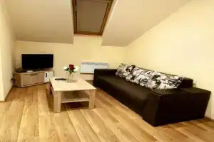 Wonderful flat on city center (Mukachivska 4/16) Apartments, Uzhgorod