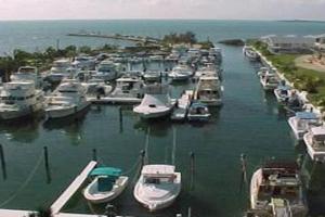 LICENSED MGR - 2/2 VILLA - OCEANFRONT BEACH RESORT - SALTWATER LAGOON & MARINA!, Key Largo