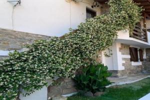 Apartment in near Beach, Agios Nikolaos