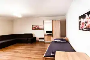 Wonderful flat on city center (Mukachivska 4/21) Apartments, Uzhgorod