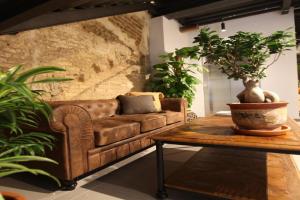 VTZ The Botanic Hostel, Zaragoza