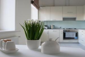 Modern Apartment, Lvov