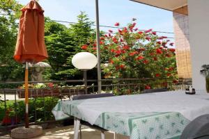 Apartments in 6819, Starigrad