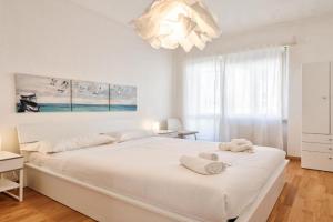 GuestHost - Toc-Toc Apartment a 10 min dall'Ospedale Maria Vittoria, Torino