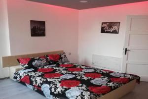 Andrina Sweet Home Apartments, Nis