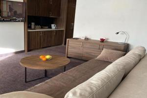 Teddy Apartman Kula Konaci, Kopaonik