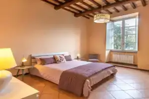Casa dell'edera P, Orvieto