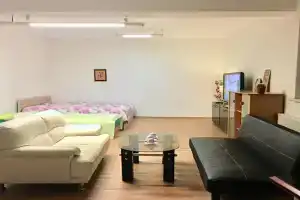 KLIDNÉ A ÚTULNÉ UBYTOVANÍ STARÝ LÍSKOVEC Apartments, Brno