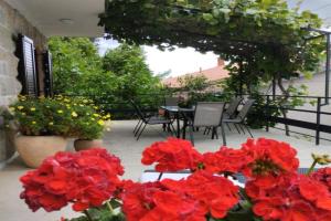 Apartments Laura - cozy and affordable, Rabac