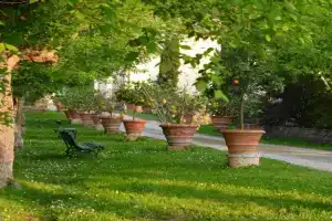 Giaggiolo Apartments, Poggibonsi