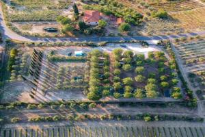 AGRiCAMPiNG POGGiO Ai PiNi WiNE CAMPiNG, Certaldo