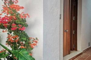 Erizo 3 loft diafáno en el Centro Histórico Apartments, Tarifa