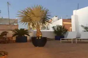 La terraza de San Pedro Apartments, Cadiz