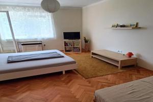 NewIsland Family Apartman, Sarvar