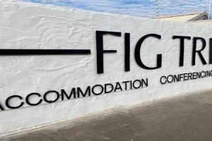 Fig Tree Guesthouse, Windhoek