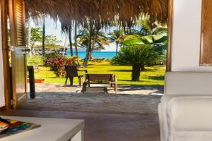Studio Lotte - Ocean Front, Las Galeras