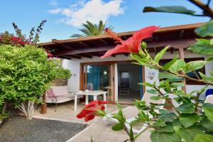 Aloe Apartments, Playa Blanca