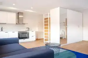 Spacious Apartments - Free parking, Tallinn