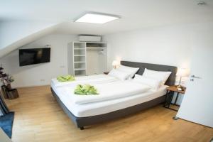 City Apartments FN L8 KLIMATISIERT, Friedrichshafen