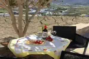 GRAPE YARD APARTMENT, Parikia