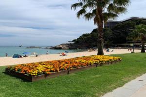 Apartamento en Torre Valentina, la mejor playa!, Sant Antoni De Calonge