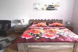 Apartament Orchidea, Krakow