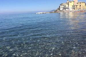 LaMarina Guest house, Camogli