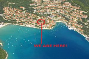 Pet friendly Apartments Licul, Rabac