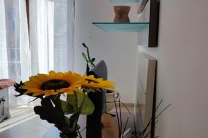 Serena GuestHouse, Monopoli