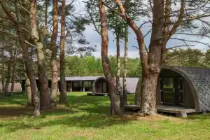 Natur Camp Birštonas, Birstonas