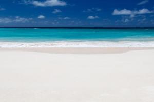 Sunny Isles Ocean Reserve Condo Apartments - 1BR #812, Sunny Isles Beach