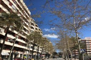 Preciosa en a 5 min del centro histórico Hostel, GANDIA