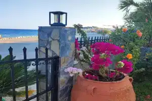 Alexia Rooms, Paleochora