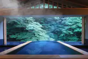 奥湯河原 結唯 Okuyugawara YUI -Hakone- Hotel, Yugawara