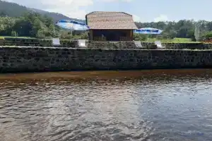 Apartman Šumska Tajna, Mokra Gora