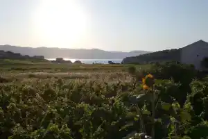 Holiday Home Kata, Lumbarda