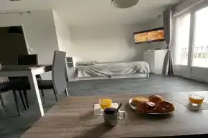 Appartement du Val de Loire Apartments, Tours