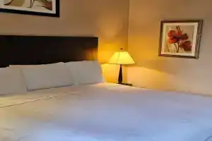 Bellis Inn, Bellingham